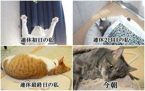 明るい雑談トピ