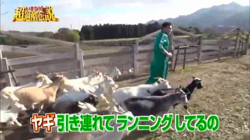 ヤギ好きな人orヤギ飼ってる人 Part.2