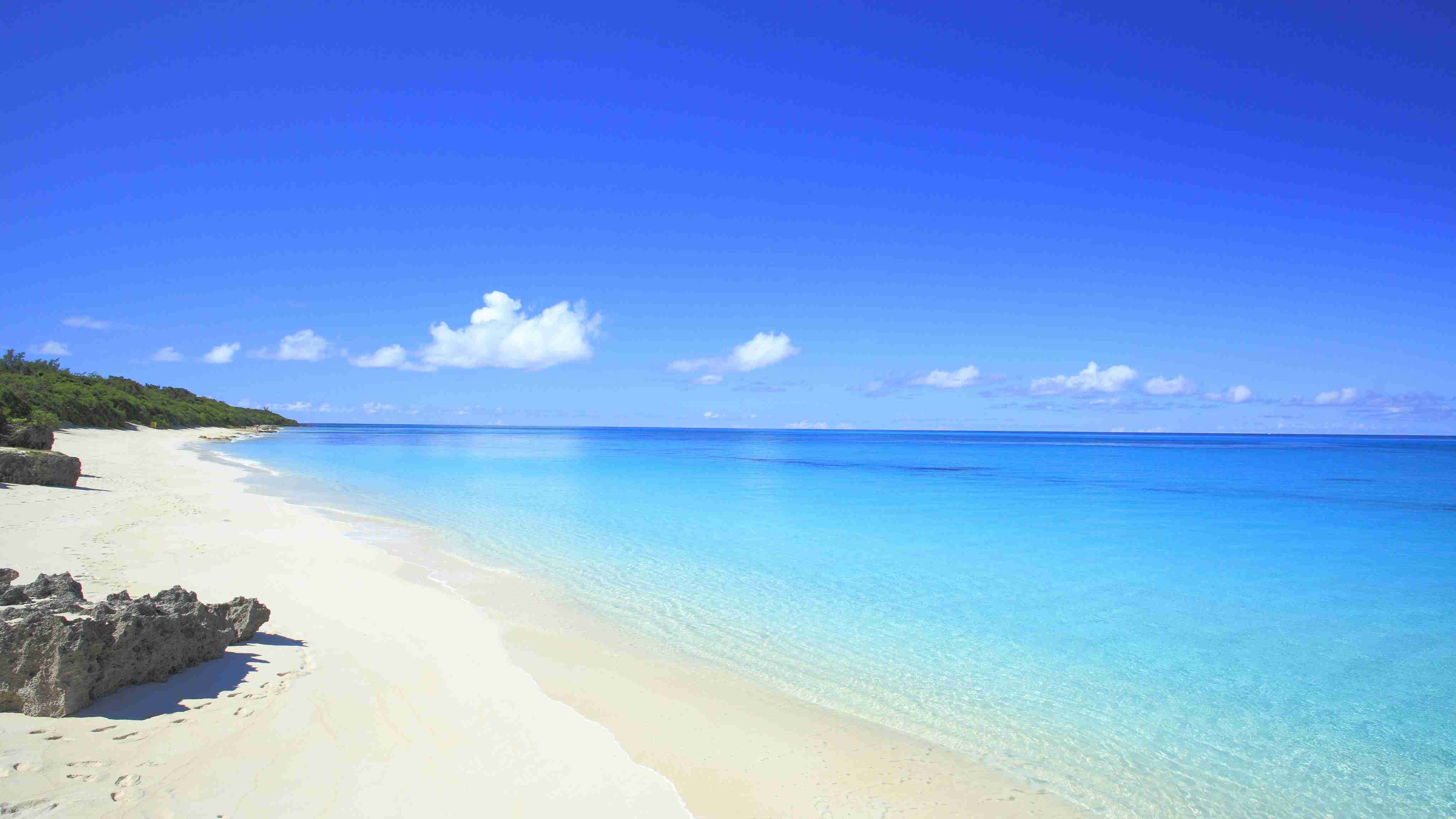 新型ウイルス チャーター機で帰国の男性2人 感染確認