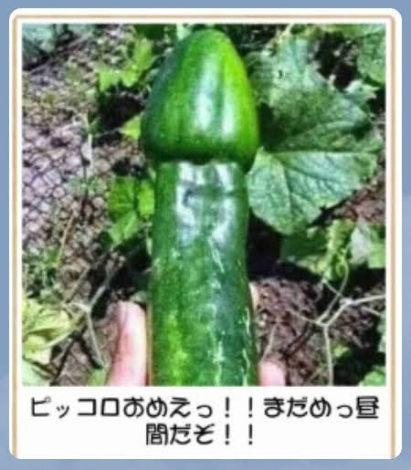 つい「この人、もしかして未経験なのでは…」と思ってしまうキャラクター・登場人物part2