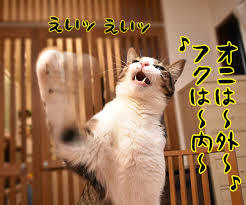 がるちゃん猫カフェ48号店 開店しました♪ (初めての方も大歓迎)
