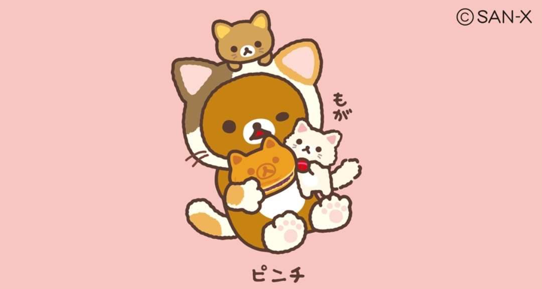 がるちゃん猫カフェ48号店 開店しました♪ (初めての方も大歓迎)