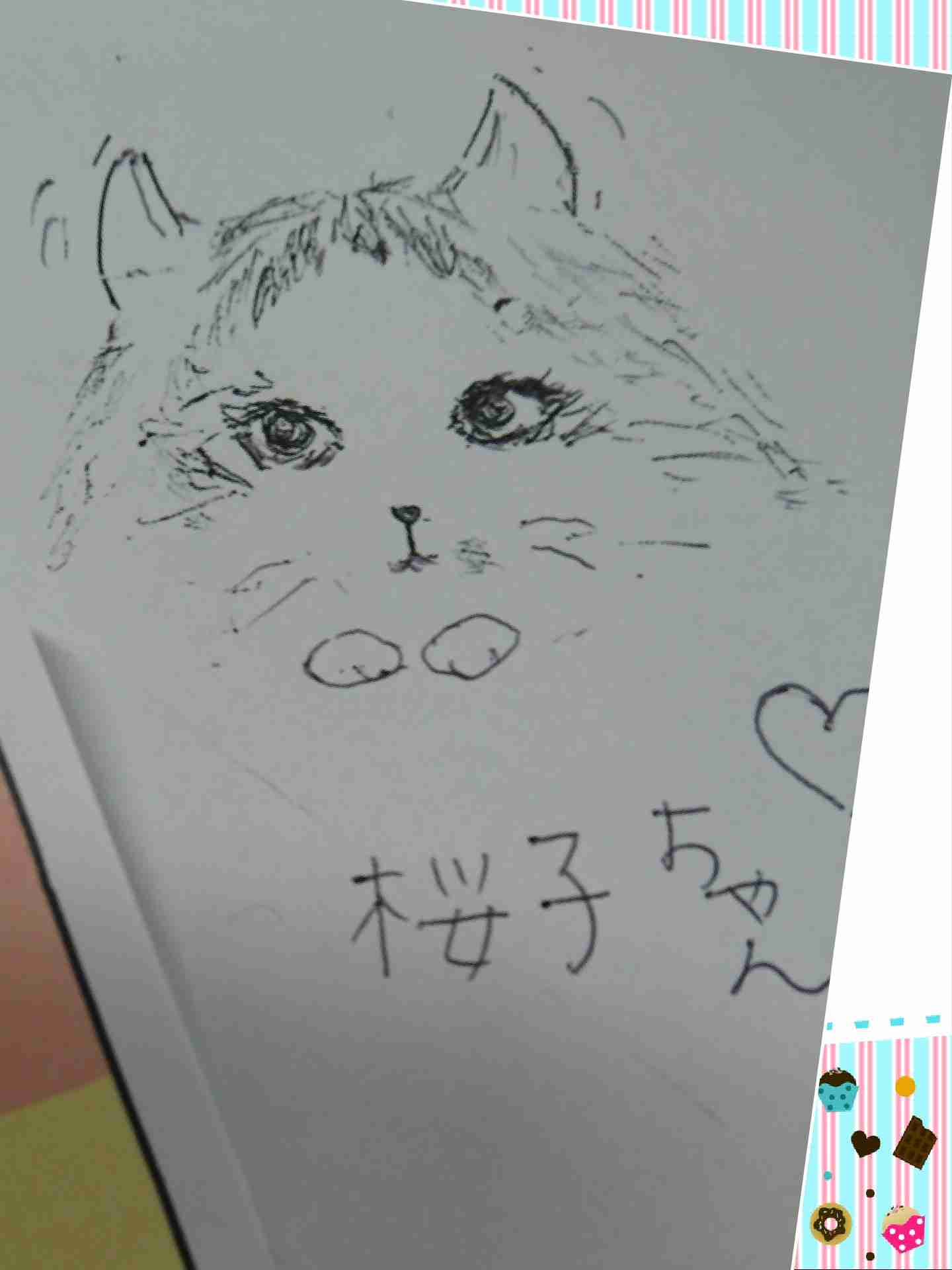 がるちゃん猫カフェ48号店 開店しました♪ (初めての方も大歓迎)