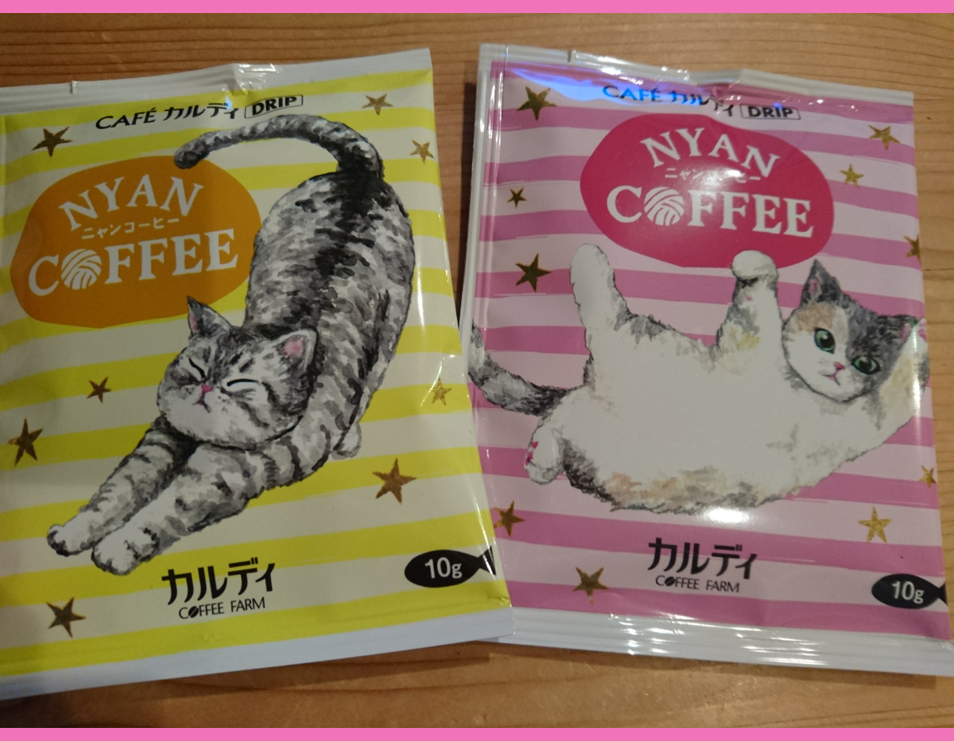 がるちゃん猫カフェ48号店 開店しました♪ (初めての方も大歓迎)