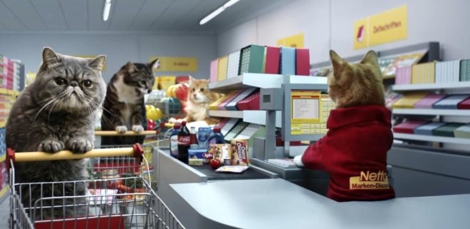 がるちゃん猫カフェ48号店 開店しました♪ (初めての方も大歓迎)