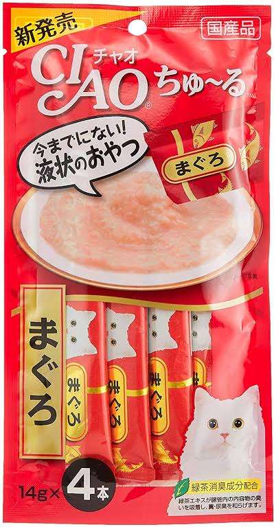 がるちゃん猫カフェ48号店 開店しました♪ (初めての方も大歓迎)