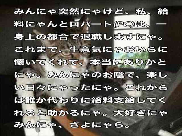 がるちゃん猫カフェ48号店 開店しました♪ (初めての方も大歓迎)