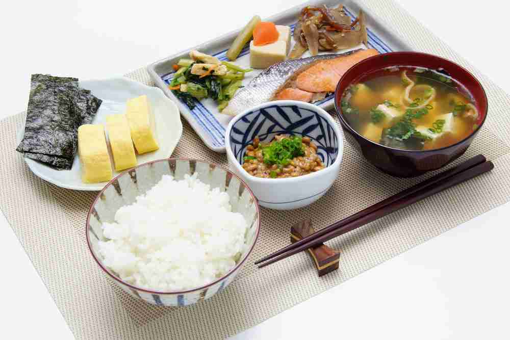 がるちゃん猫カフェ48号店 開店しました♪ (初めての方も大歓迎)