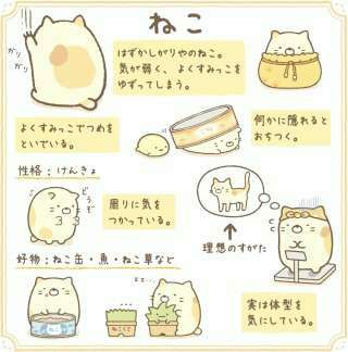 がるちゃん猫カフェ48号店 開店しました♪ (初めての方も大歓迎)