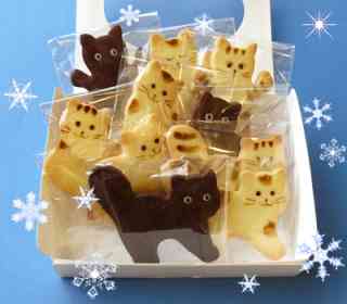 がるちゃん猫カフェ48号店 開店しました♪ (初めての方も大歓迎)