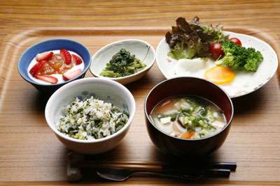 がるちゃん猫カフェ48号店 開店しました♪ (初めての方も大歓迎)