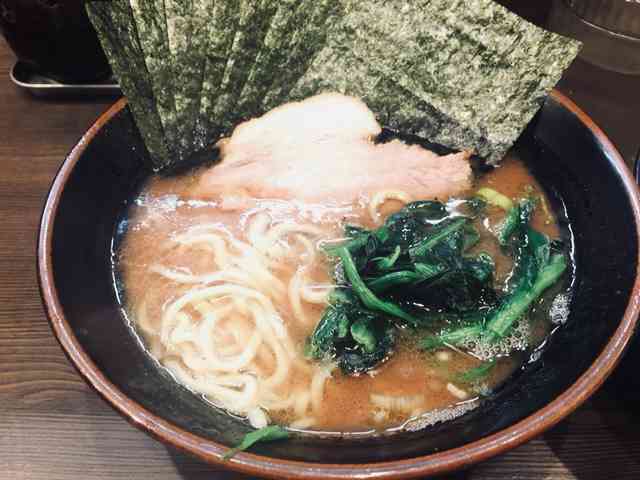 がるちゃん猫カフェ48号店 開店しました♪ (初めての方も大歓迎)