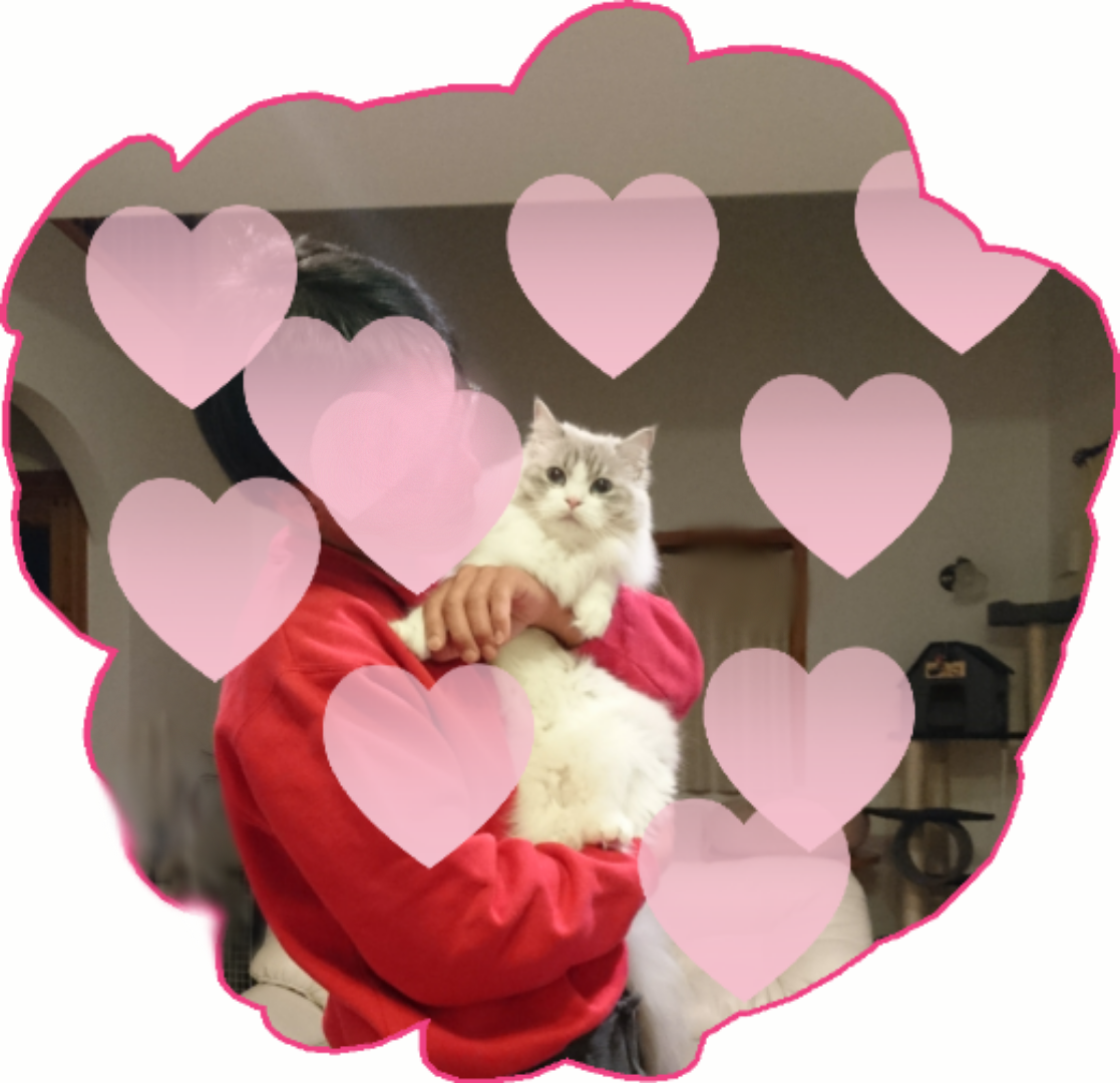 がるちゃん猫カフェ48号店 開店しました♪ (初めての方も大歓迎)
