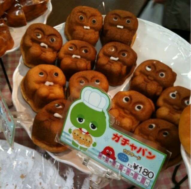 がるちゃん猫カフェ48号店 開店しました♪ (初めての方も大歓迎)
