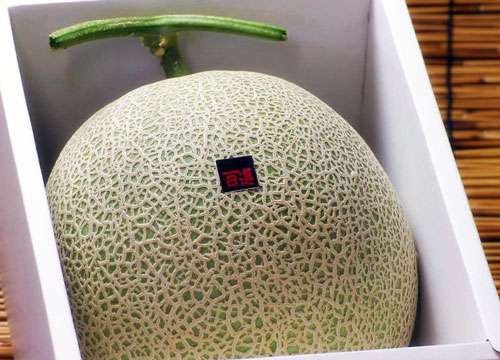 『どっちが主人公？』と思うキャラクター。