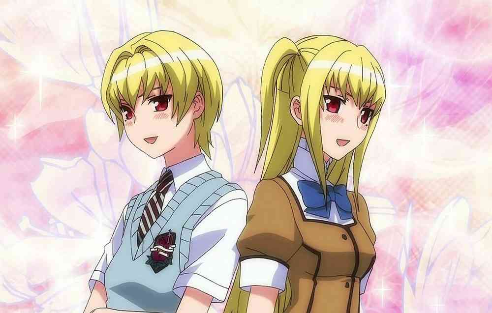 ♊２次元界のツインズ♊