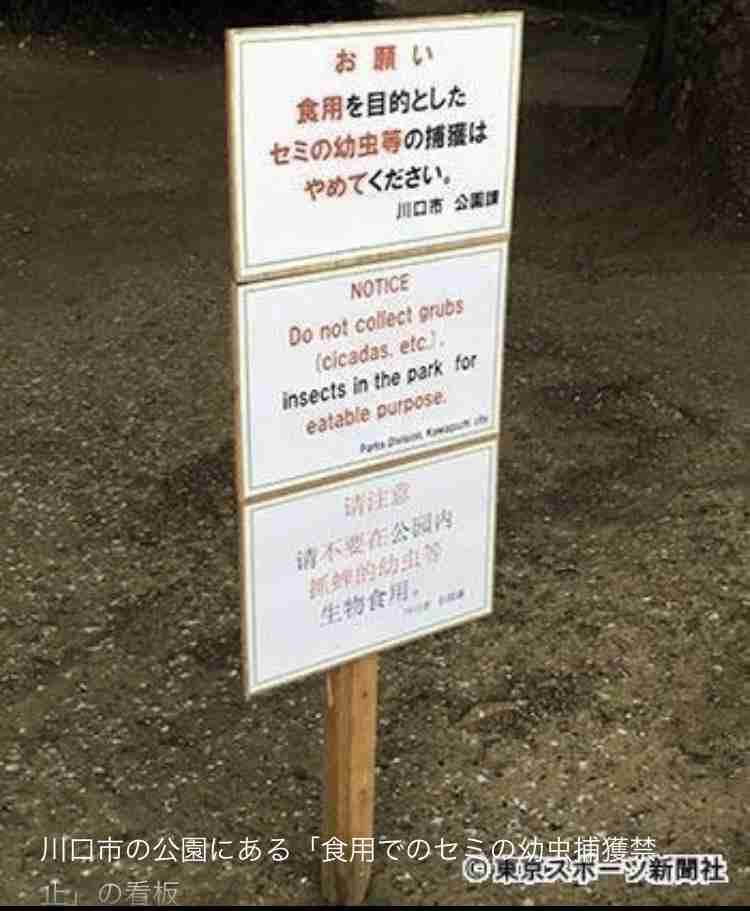 新型肺炎 中国で新たに103人死亡 中国国内の死者1000人超える