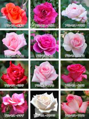 天皇・皇后両陛下、今春に訪英