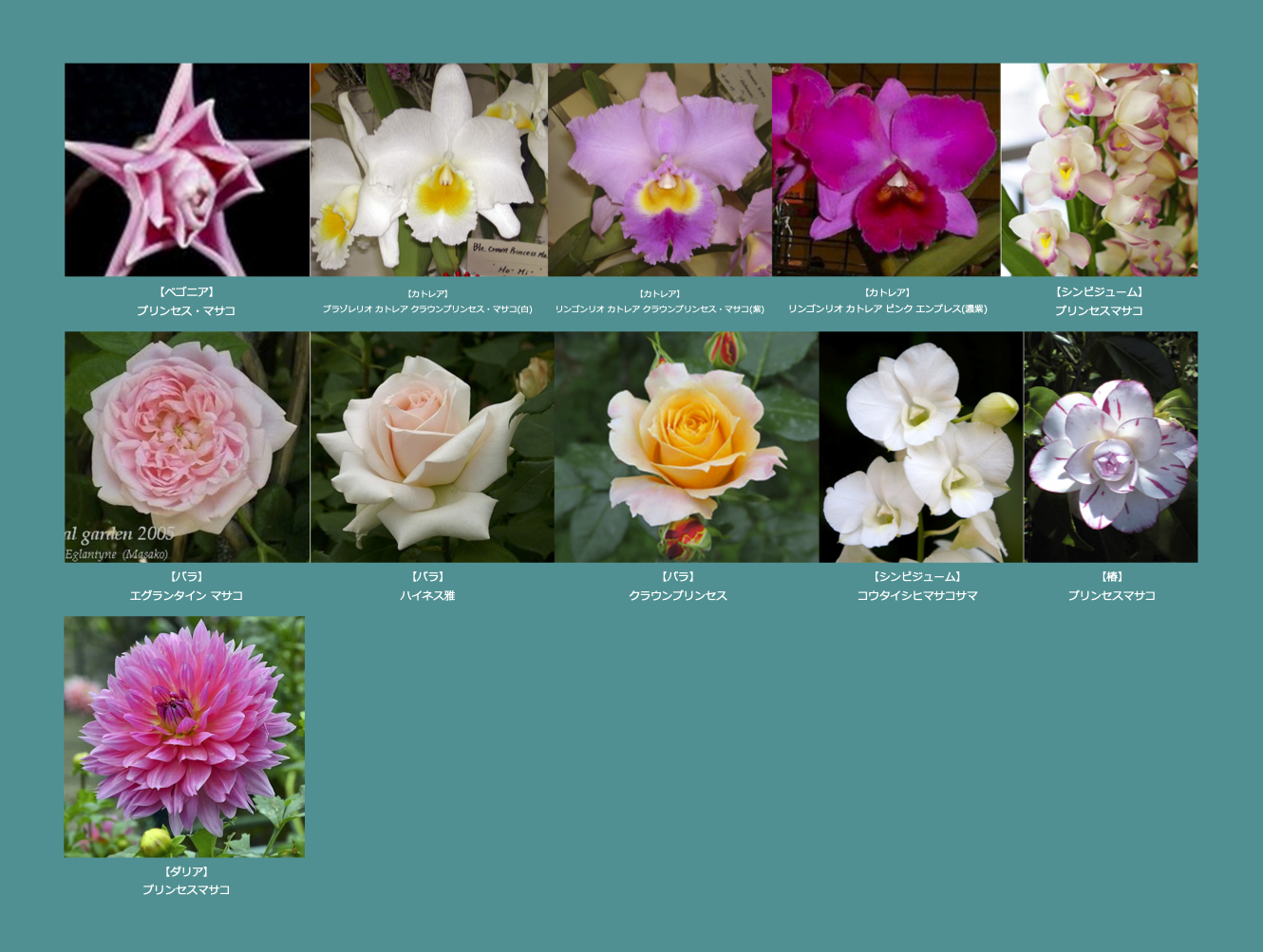 天皇・皇后両陛下、今春に訪英