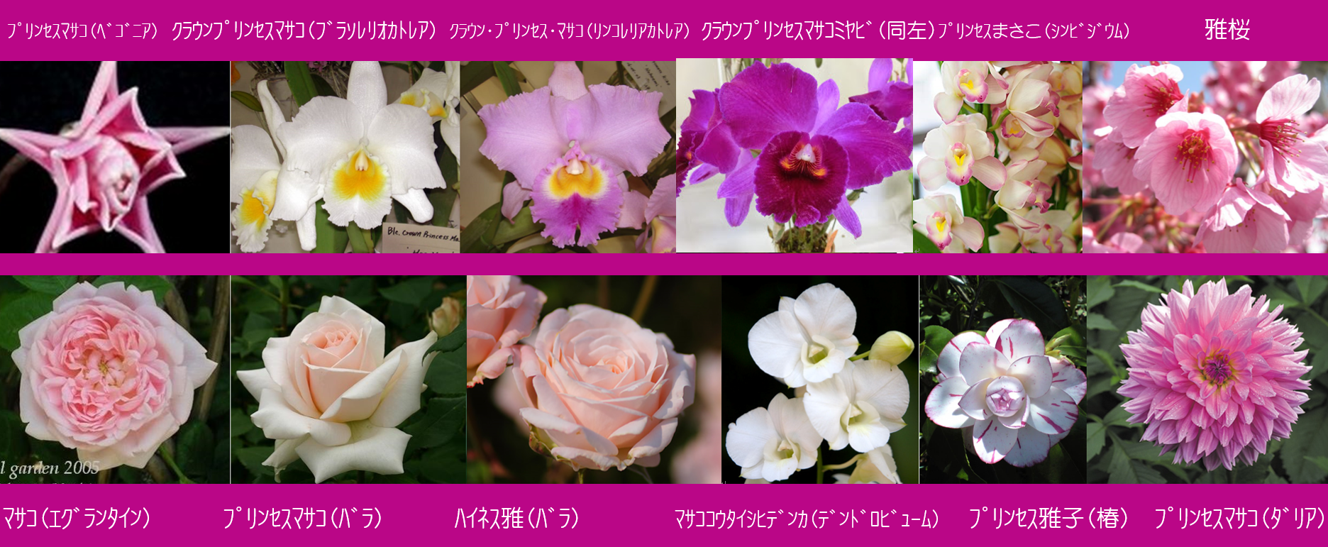 天皇・皇后両陛下、今春に訪英