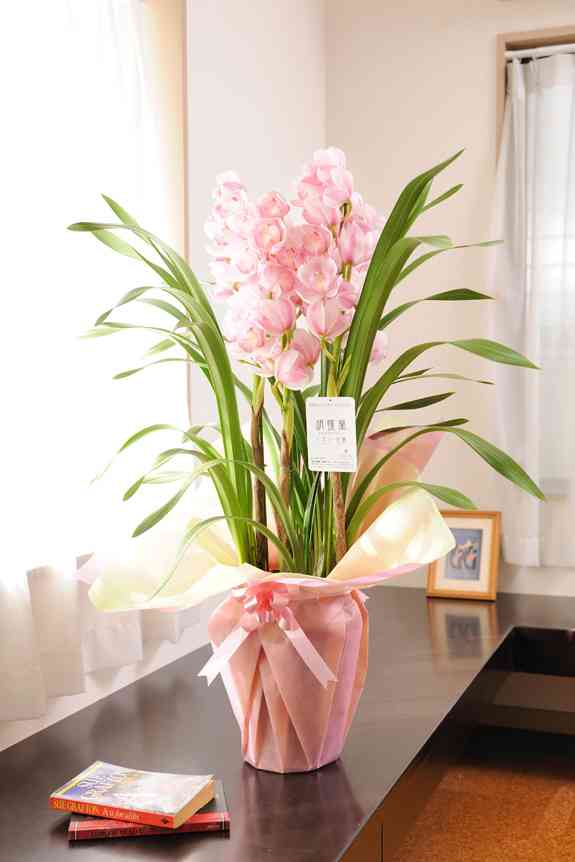 天皇・皇后両陛下、今春に訪英