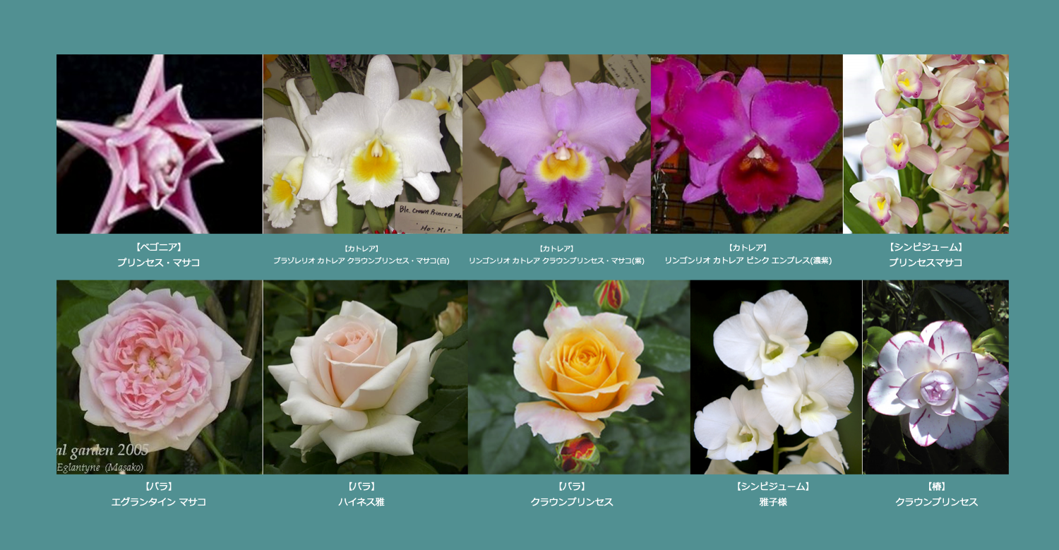 天皇・皇后両陛下、今春に訪英