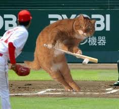 好きな【ピッチャー】part2