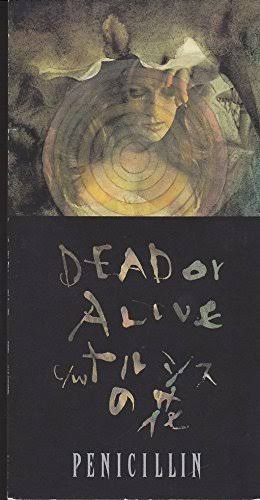 dead or alive 好きな人！