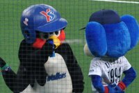 【定期】プロ野球12球団総合