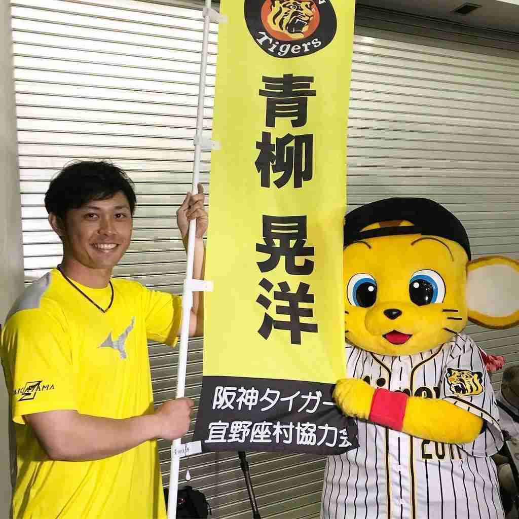 【定期】プロ野球12球団総合