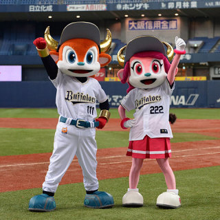 【定期】プロ野球12球団総合
