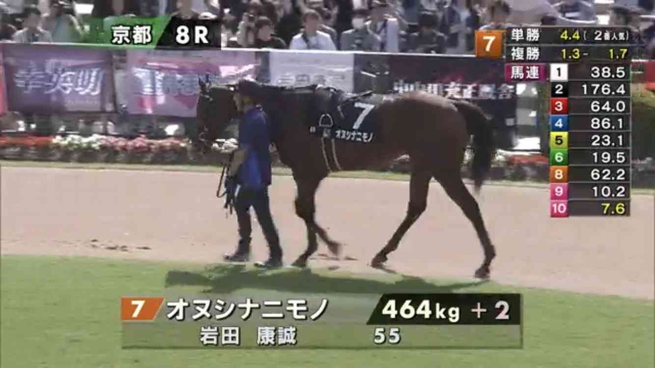 カッコイイ 名馬の名前 面白い ガールズちゃんねる Girls Channel