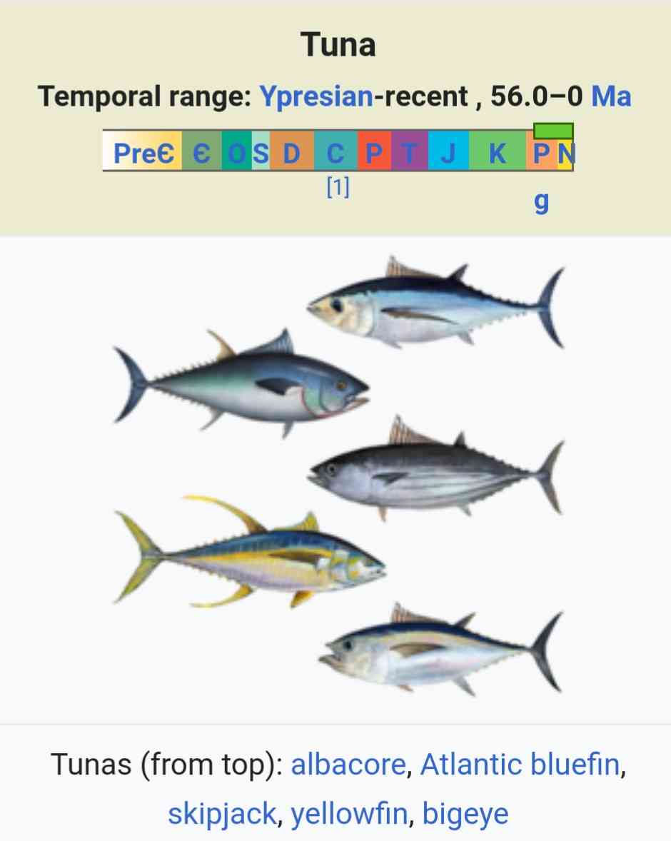 あの漫画家は今