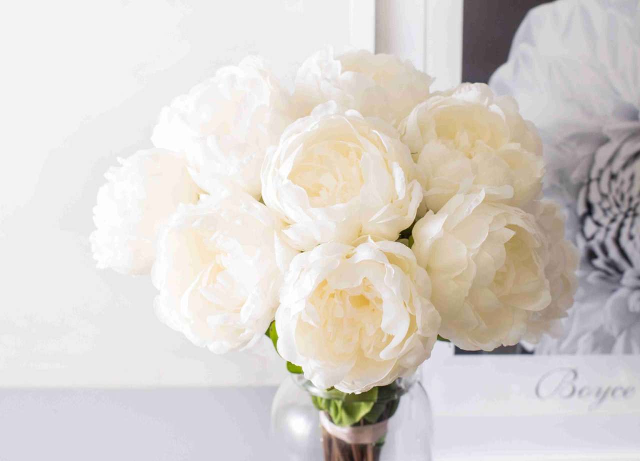 ハムスターが可愛すぎる