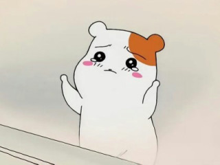 ハムスターが可愛すぎる