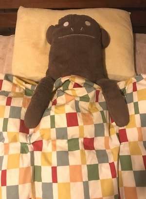 布団カバーどんなの使ってる？