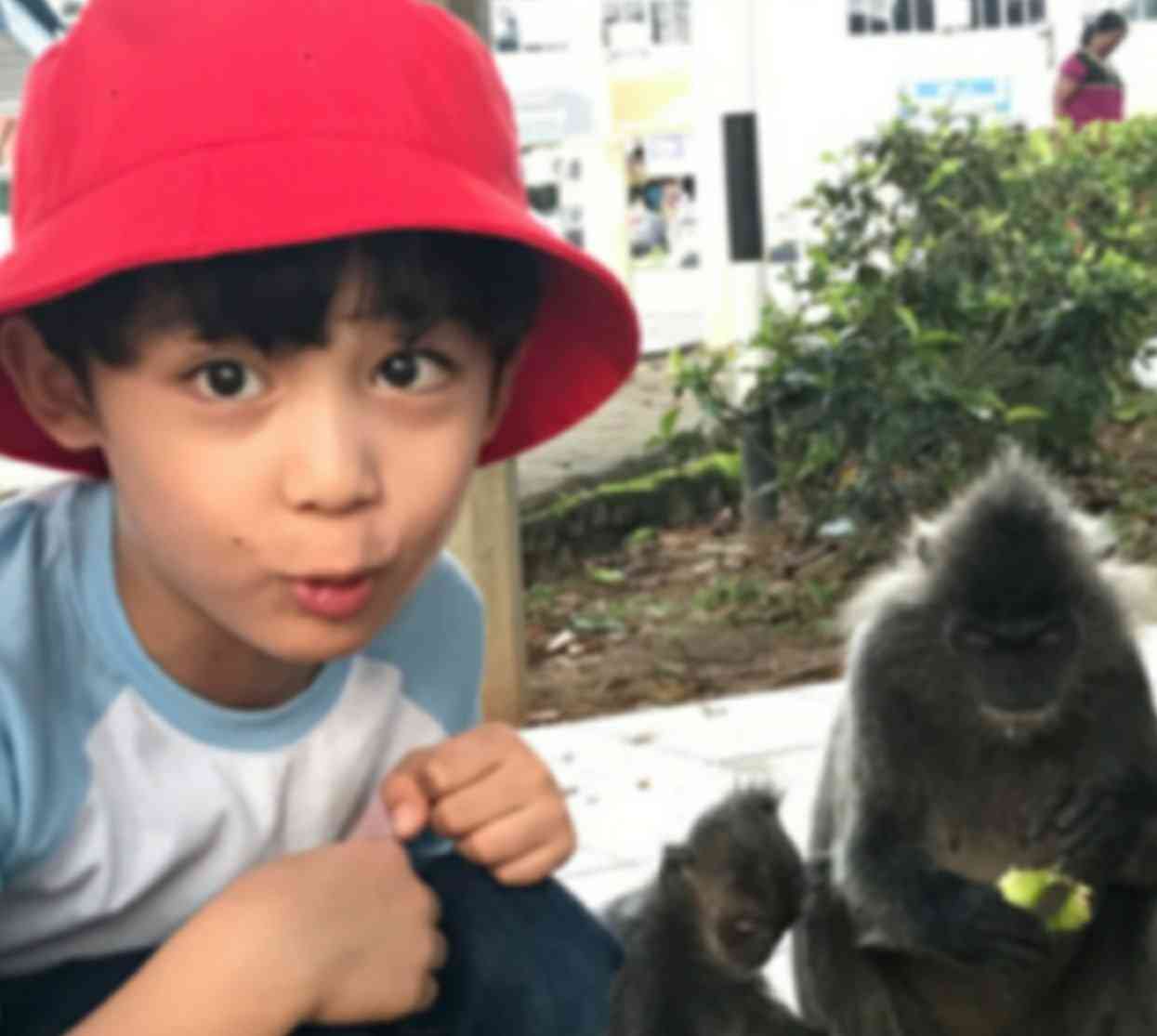 SixTONES vs Snow Man、13年10か月ぶりのデビューシングル２週連続＆通算3週1位