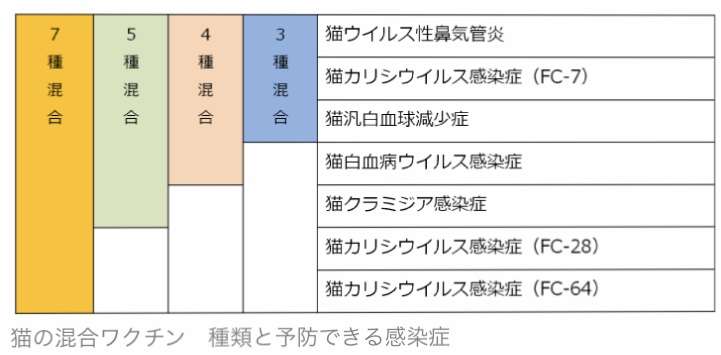 もし新型コロナに感染したかも…と思ったら