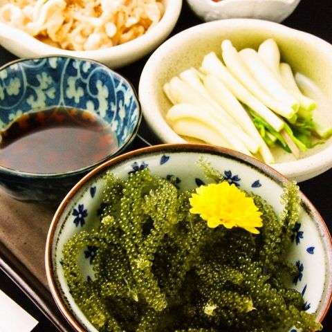 海藻が好き