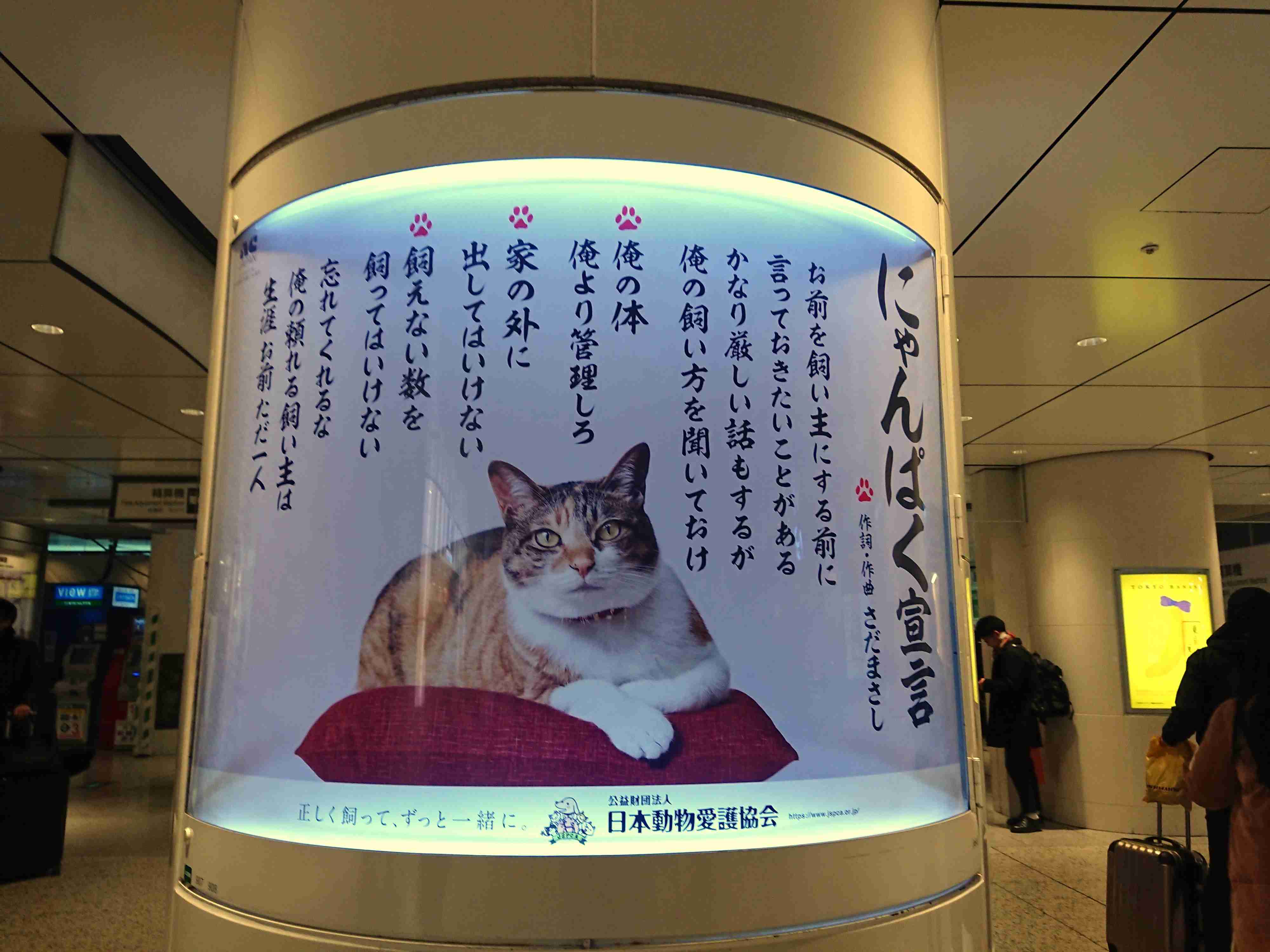 一人暮らしで猫を完全室内飼いしている方