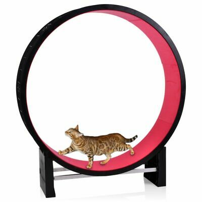 一人暮らしで猫を完全室内飼いしている方