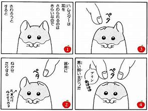 好きなギャグ漫画