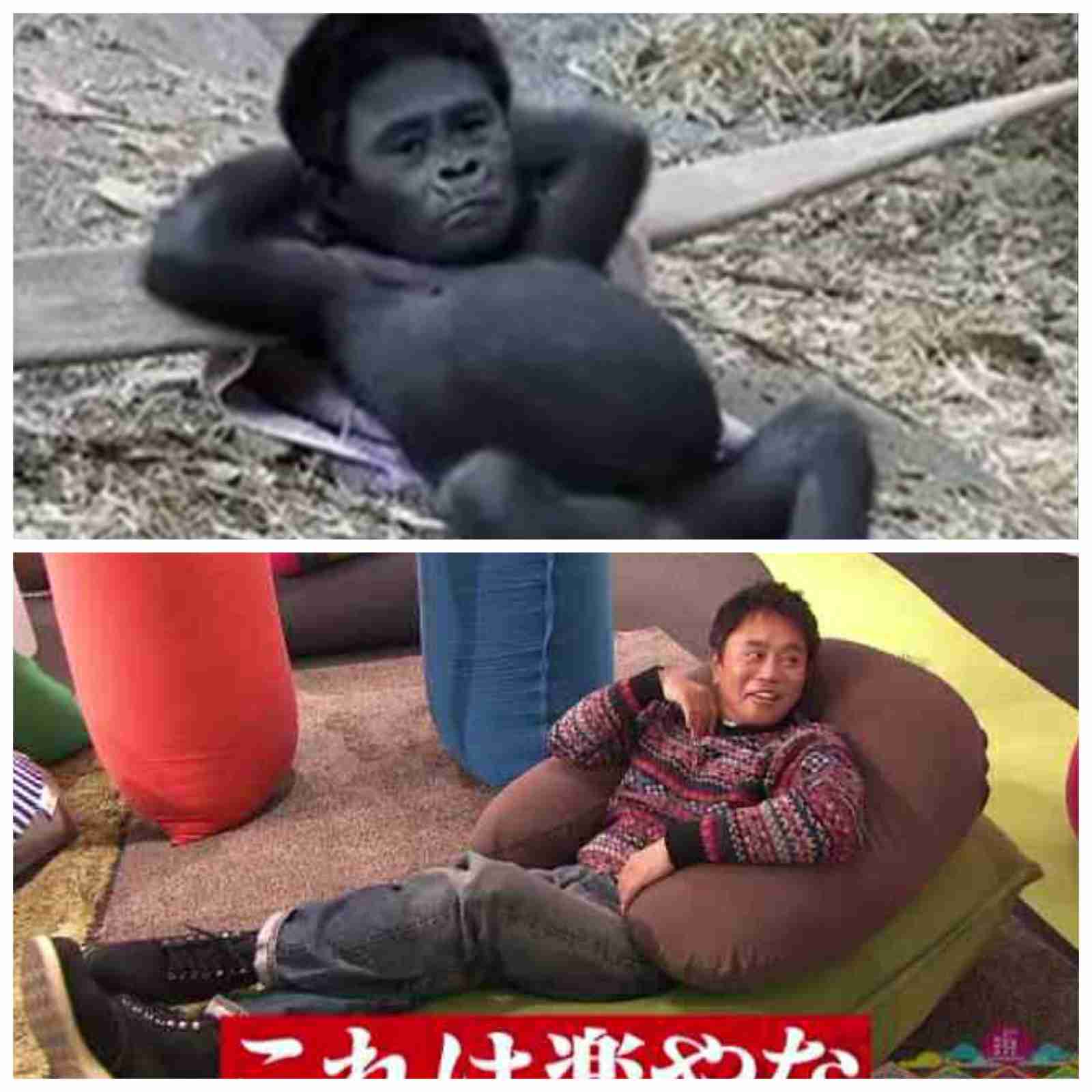 浜ちゃんあるある