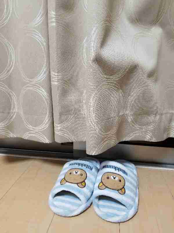身バレしない程度にお宅のカーテン見せて下さいませんか?