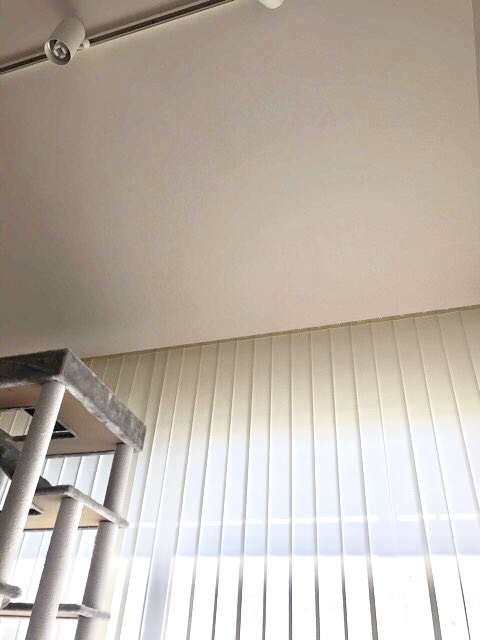 身バレしない程度にお宅のカーテン見せて下さいませんか?