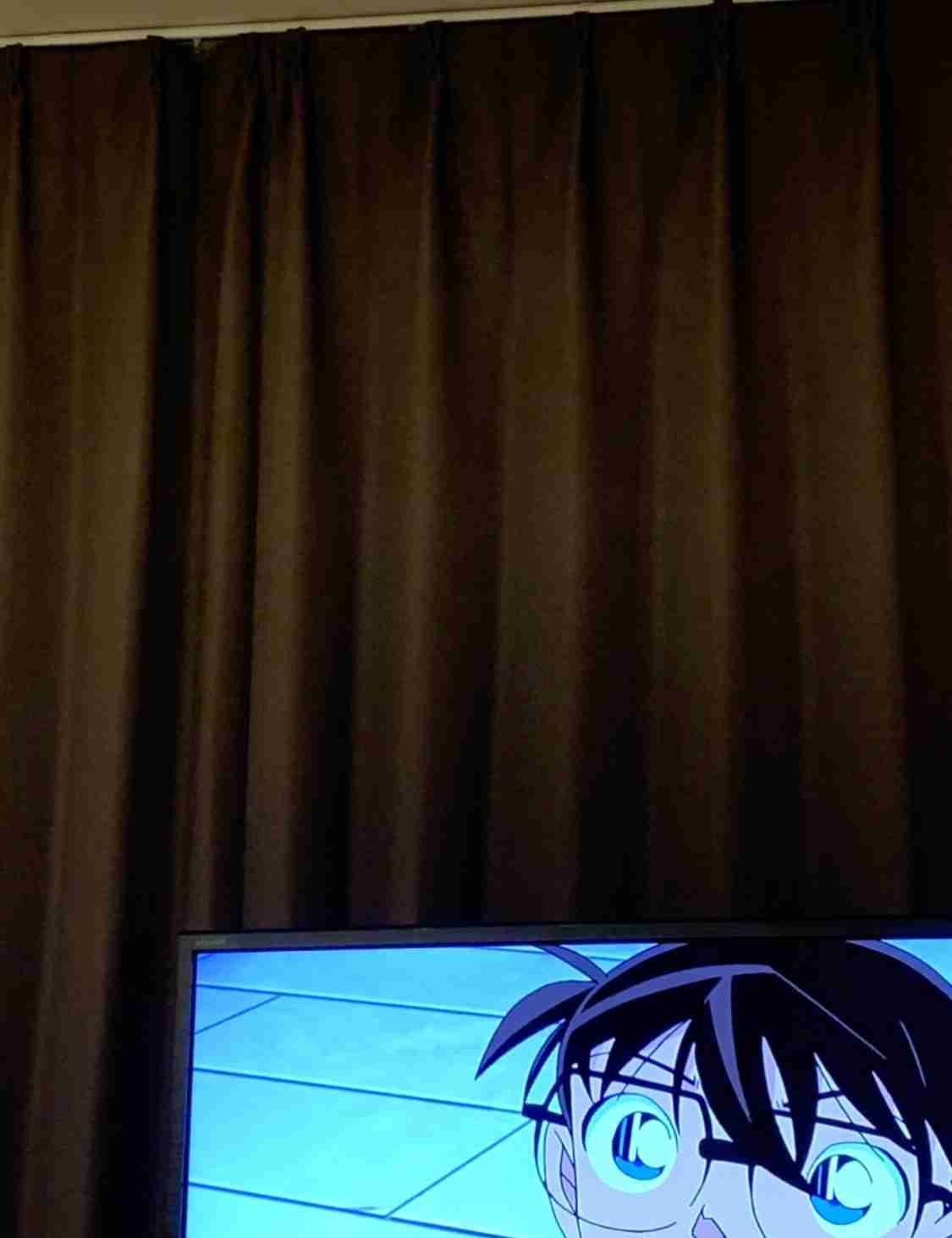身バレしない程度にお宅のカーテン見せて下さいませんか?