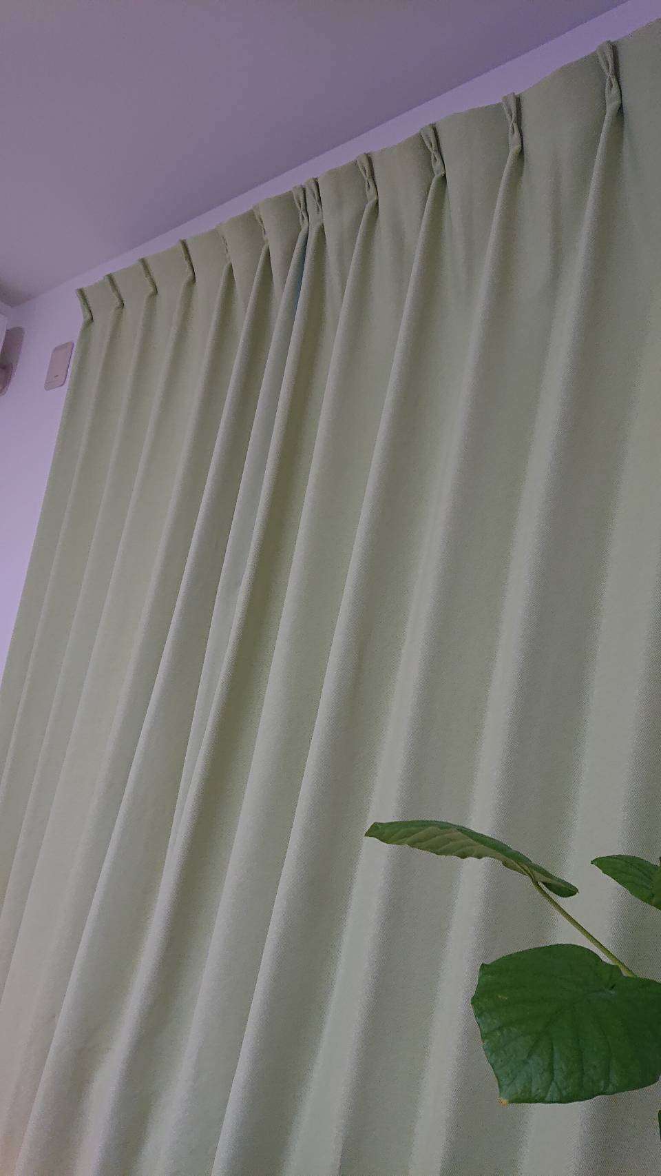 身バレしない程度にお宅のカーテン見せて下さいませんか?