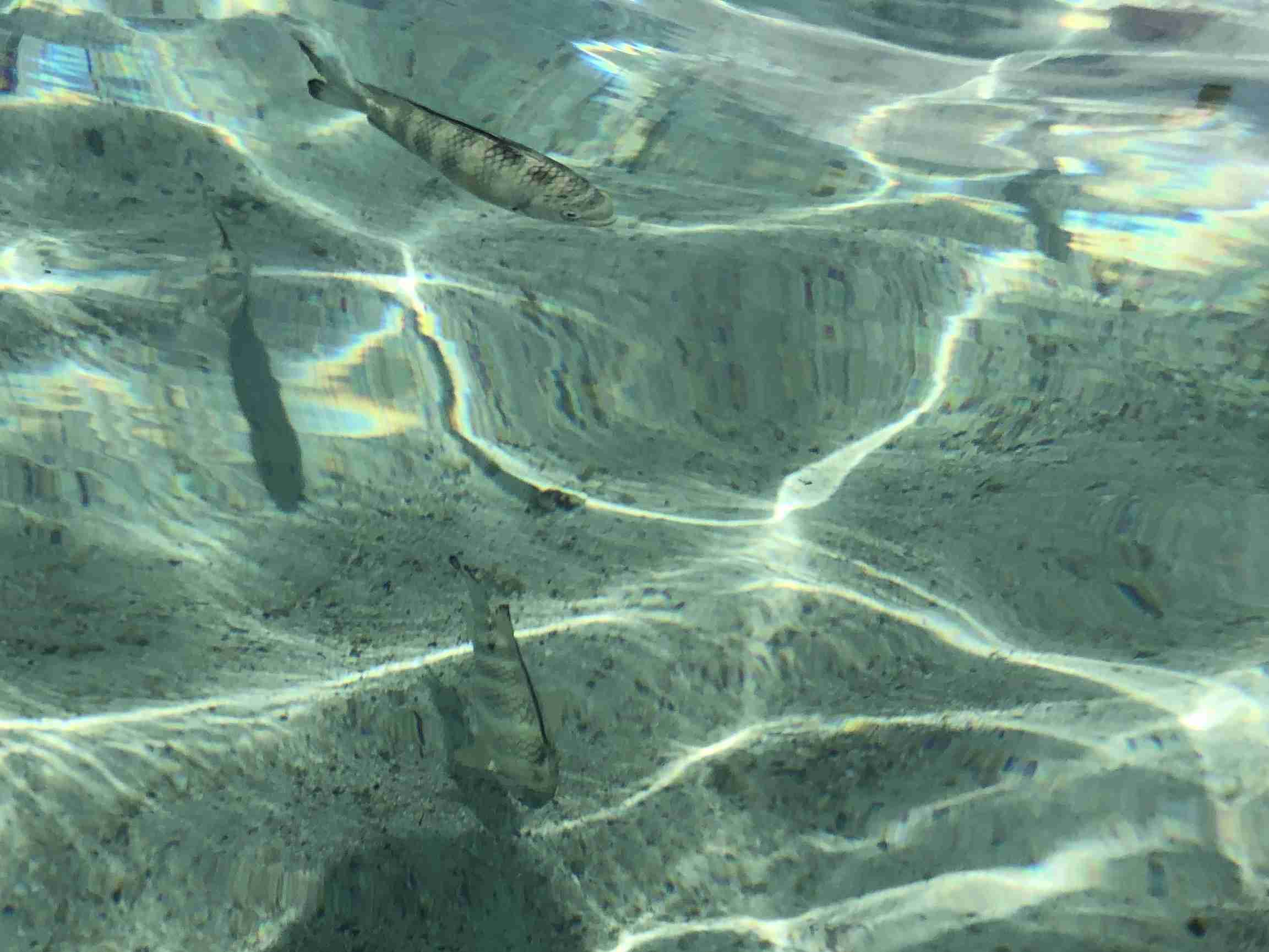 行ってよかった海外の観光地