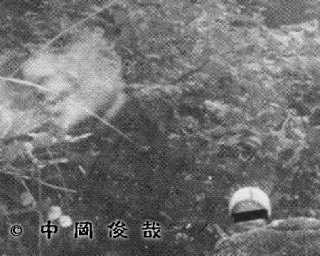 【閲覧注意】貼られた心霊写真を見て語るトピpart5