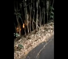 【閲覧注意】貼られた心霊写真を見て語るトピpart5